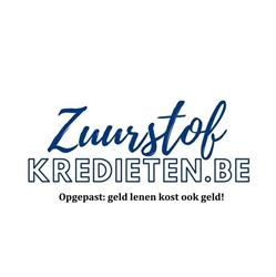 Zuurstofkredieten, Holsbeek openingstijden