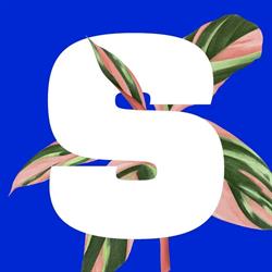 Stera - Plantenbar, Sint-Andries openingstijden