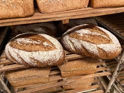 Bakkerij Wachters, Borsbeek openingstijden