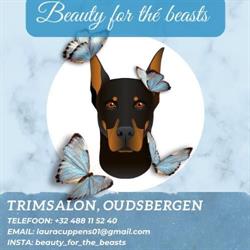 Beauty for the beasts, Oudsbergen openingstijden