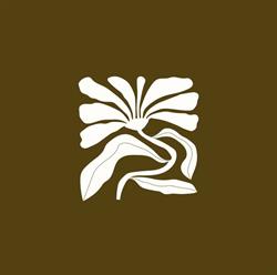 Kindred by Tan, Zaventem openingstijden