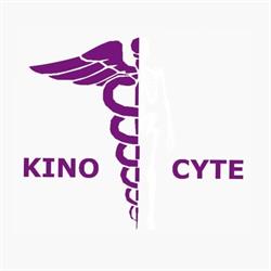 Lignier Sacha Kinésithérapeute KINOCYTE, Leuze-en-Hainaut openingstijden