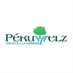 Ville de Péruwelz, openingstijden