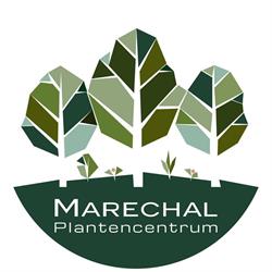 Tuincentrum Marechal, Turnhout openingstijden