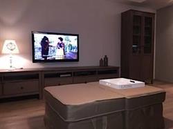Huis Lapon, Oostende openingstijden