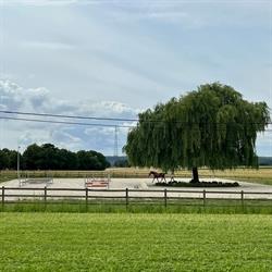 Écurie Horse Wellness, Bornival openingstijden