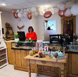 Delica, Sint-Niklaas openingstijden