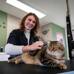 Trimsalon Brigou, Lichtervelde openingstijden