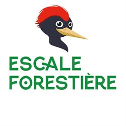 Escale forestière - Bon-Secours, openingstijden