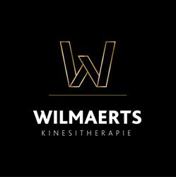 Kinesitherapie Wilmaerts, Hasselt openingstijden