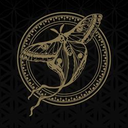 Ink About It Tattoo & Piercing studio, Lokeren openingstijden