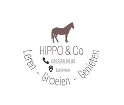 Hippo & Co, Lummen openingstijden