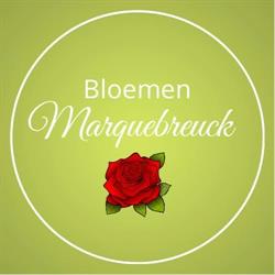 Bloemen Marquebreuck, Ninove openingstijden