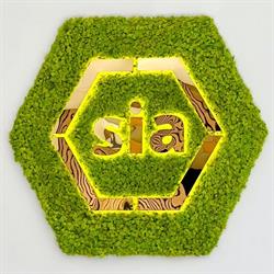 Sia_beauty_studio, Gent openingstijden