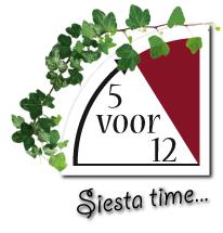 5 voor 12, Turnhout openingstijden