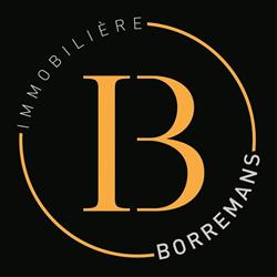 Immobilière Borremans, Borgworm openingstijden