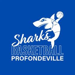 Profondeville Sharks, openingstijden