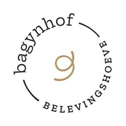 Bagynhof, Nieuwkerken-Waas openingstijden