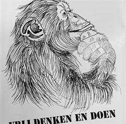 HV Diestse Vrijzinnigen, openingstijden