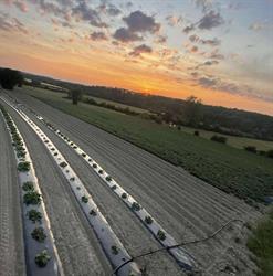 Le potager des saisons, Philippeville openingstijden