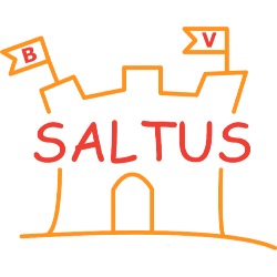 Saltus - Verhuur springkastelen & feestmateriaal, Edegem openingstijden