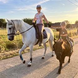 Sweet Horses, Koekelare openingstijden