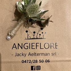 Angieflore, Ham-sur-Heure openingstijden