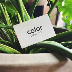 Color Concept, Lier openingstijden