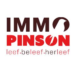 Immo Pinson, De Panne openingstijden
