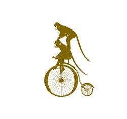 Martiko, Oudenaarde openingstijden