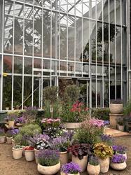 Intra Verde Greenhouse, Schilde openingstijden