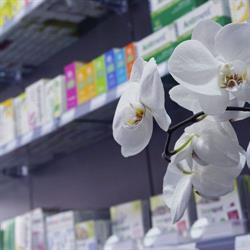 Pharmacie Guisset, Beaumont openingstijden