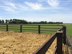 Stal Gavi, Zuienkerke openingstijden
