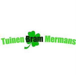 Mermans Bram, Dessel openingstijden