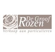 Rozen De Groof, Sint-Katelijne-Waver openingstijden