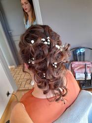 Design Coiffure, Namen openingstijden