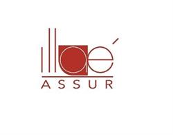 ILLAE ASSUR, Charleroi openingstijden