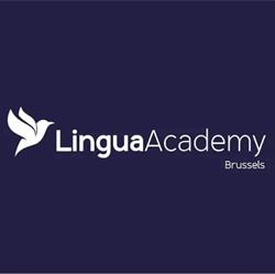 Lingua Academy Brussels, openingstijden