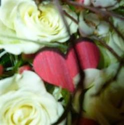 Bloemen D'hooge, Lede openingstijden