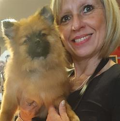 Chez Coiff'Toutou, Saint-Ghislain openingstijden