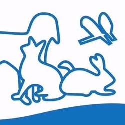 Dierenartsenpraktijk Vanheuckelom, Avelgem openingstijden
