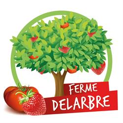 Ferme Delarbre - Delarbre François, Burdinne openingstijden