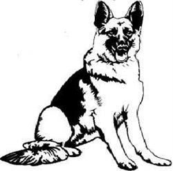 Ecole Canine de Doische, openingstijden