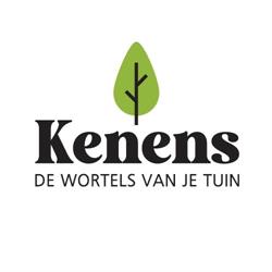 Plantenkwekerij Kenens, Bree openingstijden