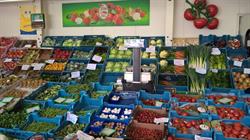 Supra Fruit, Wevelgem openingstijden