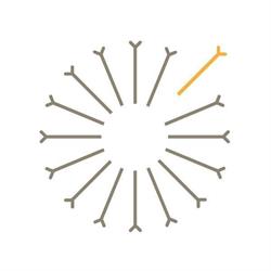 Coaching Carrière & Orientation, Grimbergen openingstijden