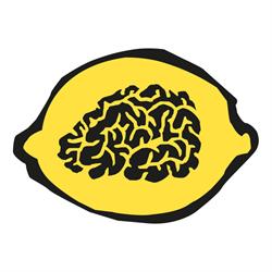 BrainSolutions, Hove openingstijden