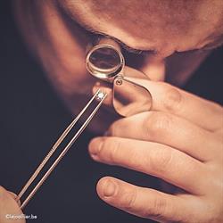 Lejoaillier.be, Lasne openingstijden