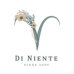 Di Niente, kleurensalon en haarherstel, Velm openingstijden