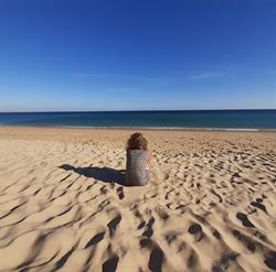 Lin Crauwels Coaching, Lint openingstijden